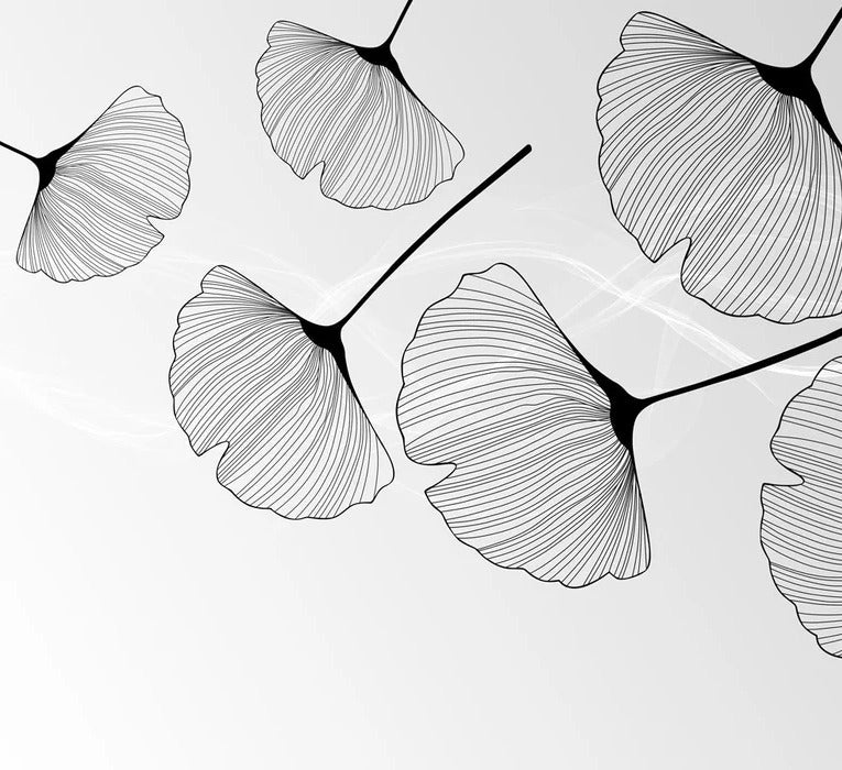 Papier peint panoramique tendance ginkgo noir - Muralconcept