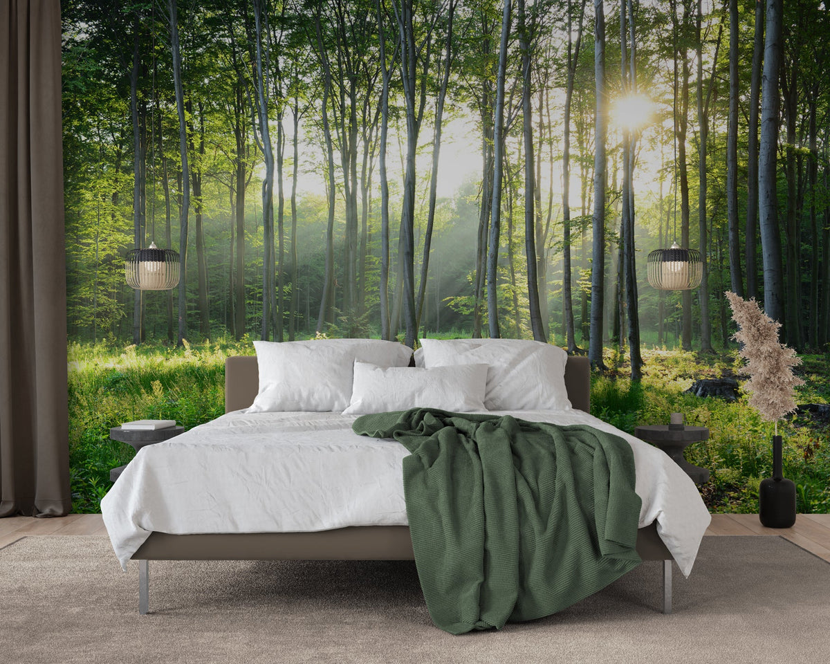 Papier peint panoramique forêt de pins