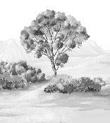 Papier peint paysage poétique noir et blanc, XXL, tendance