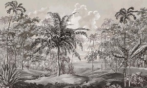 Papier peint paysage Célèbes noir et blanc, XXL, tendance