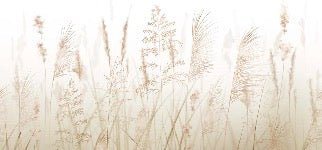 Papier peint fleur des champs de blé, XXL, tendance