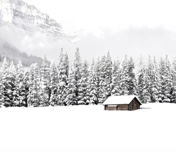 Papier peint panoramique chalet en montagne, XXL, tendance
