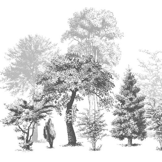 Papier peint salle de bain nature en noir et blanc, XXL, tendance