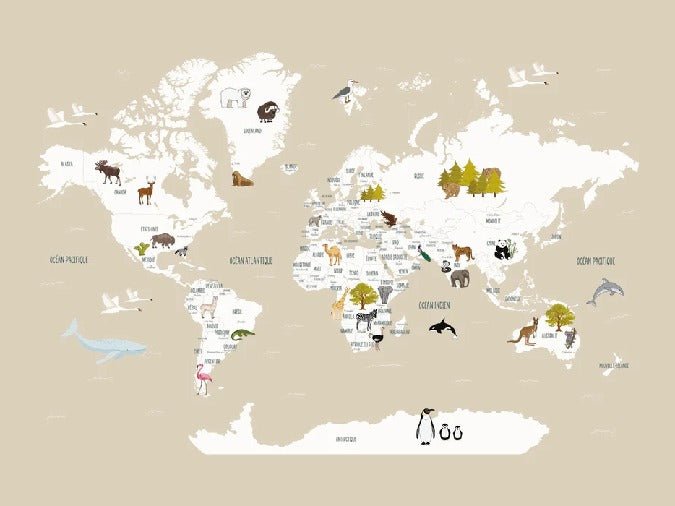 Papier peint Carte du monde en Francais enfant beige, XXL, tendance