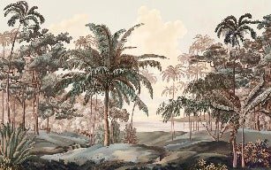 Papier peint paysage Célèbes terra, XXL, tendance