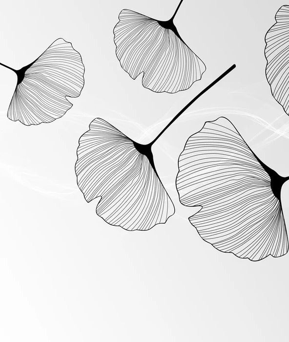 Papier peint panoramique tendance ginkgo noir, XXL, tendance