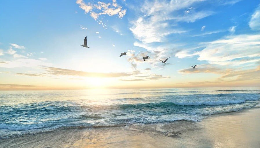 Papier peint Plage Paradisiaque, XXL, tendance