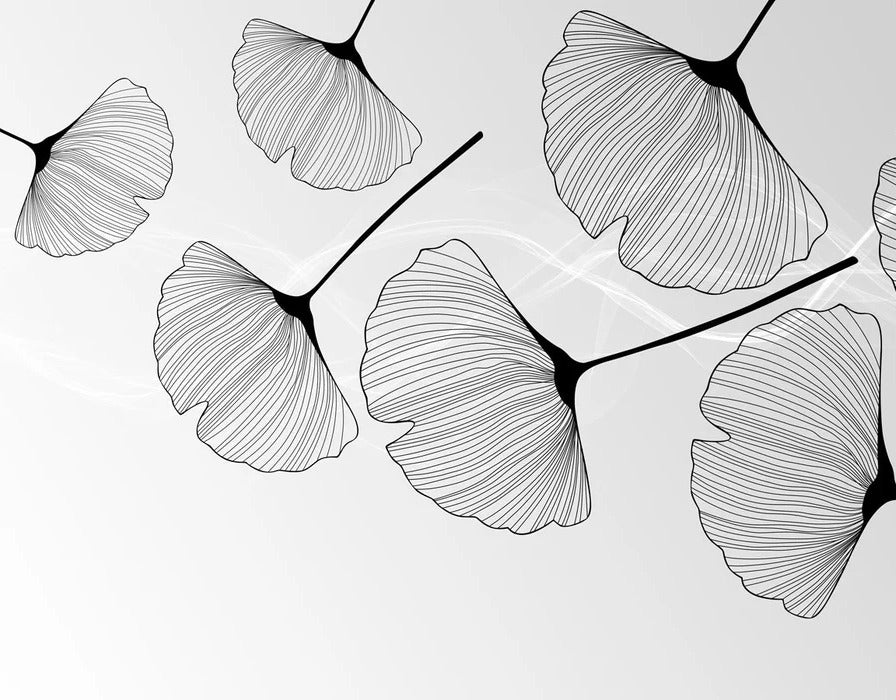 Papier peint panoramique tendance ginkgo noir, XXL, tendance