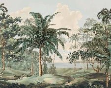 Papier peint paysage Célèbes, XXL, tendance