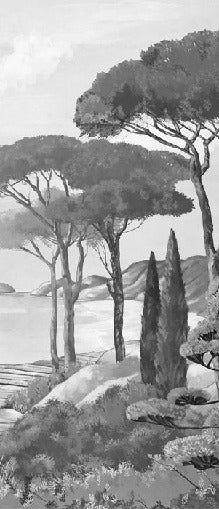 Papier peint balade dans les calanques noir et blanc, XXL, tendance