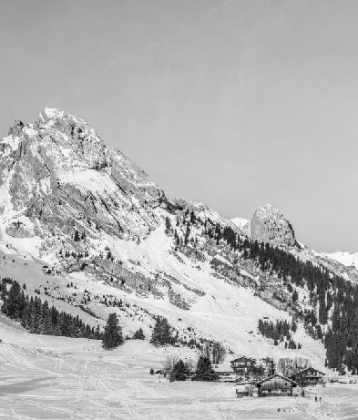 Papier peint panoramique chalet alpage, XXL, tendance