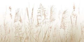 Papier peint fleur des champs de blé, XXL, tendance