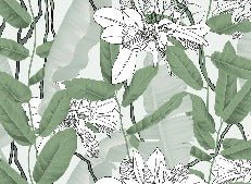 Papier peint feuillage nature vert fleur NB, XXL, tendance