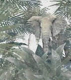 Papier peint Elephant d'Amazonie, XXL, tendance