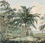 Papier peint paysage Célèbes, XXL, tendance