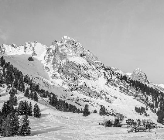 Papier peint panoramique chalet alpage, XXL, tendance
