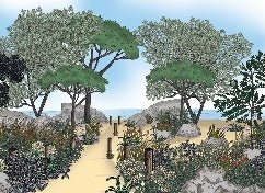 Papier peint paysage France bord de mer, XXL, tendance