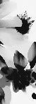 Papier peint fleur hypnotique noir et blanc