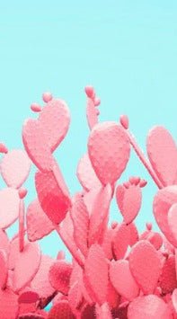 Papier peint cactus pop, XXL, tendance