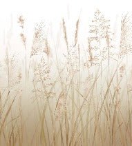 Papier peint fleur des champs de blé, XXL, tendance