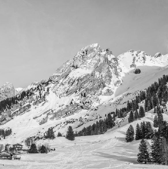 Papier peint panoramique chalet alpage, XXL, tendance