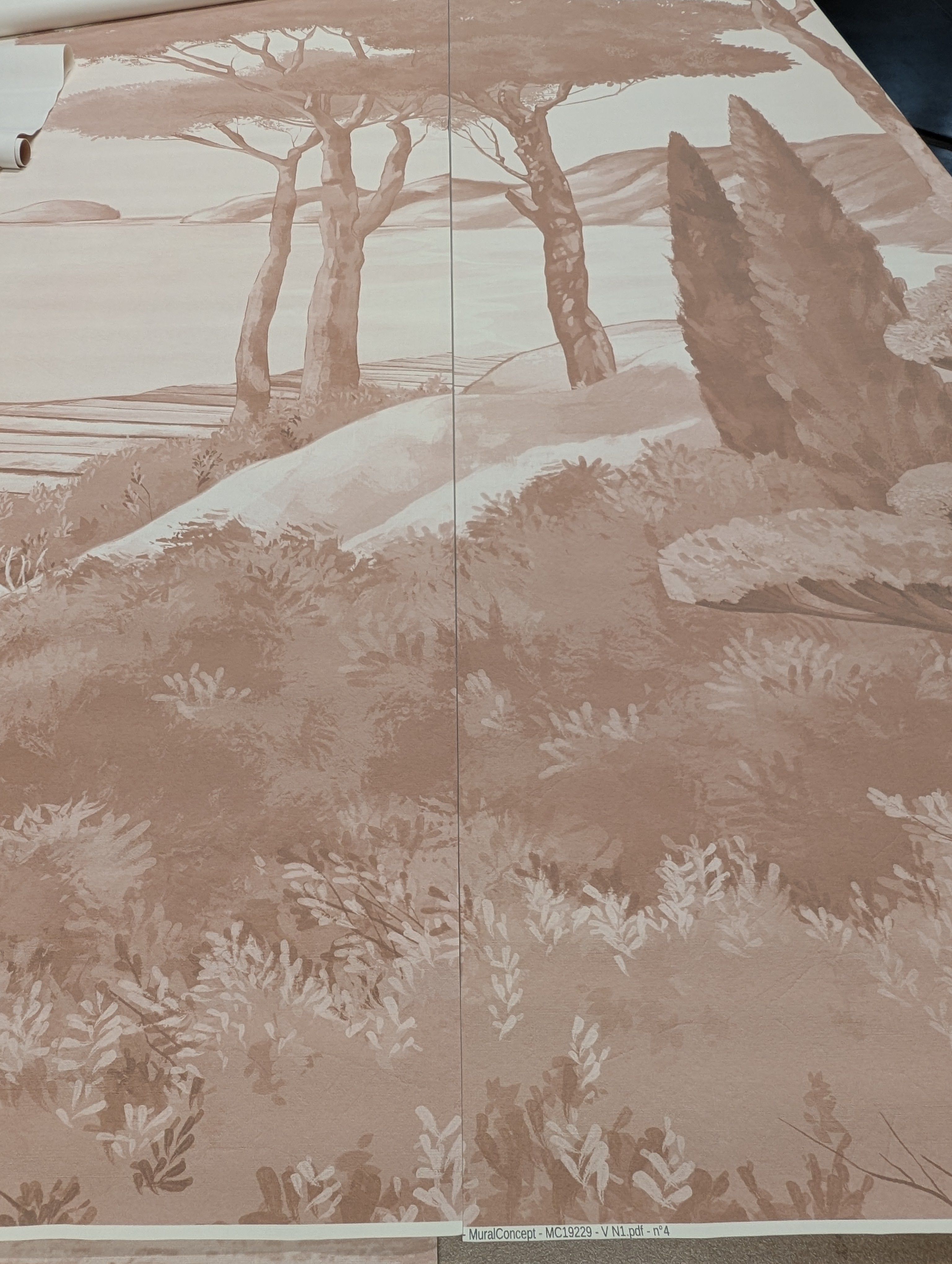 Papier Peint Balade Dans Les Calanques Terracotta - H220 x L300cm - Matière Vinyle - Muralconcept