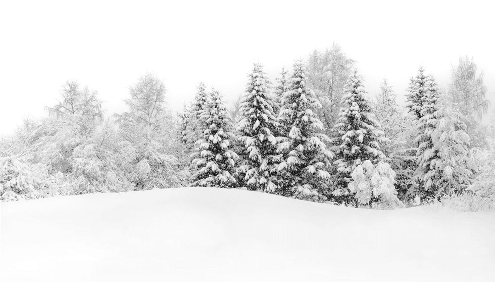 Papier Peint Panoramique Evasion Hivernale - H243cm x L425cm - Matière Softouch - Muralconcept