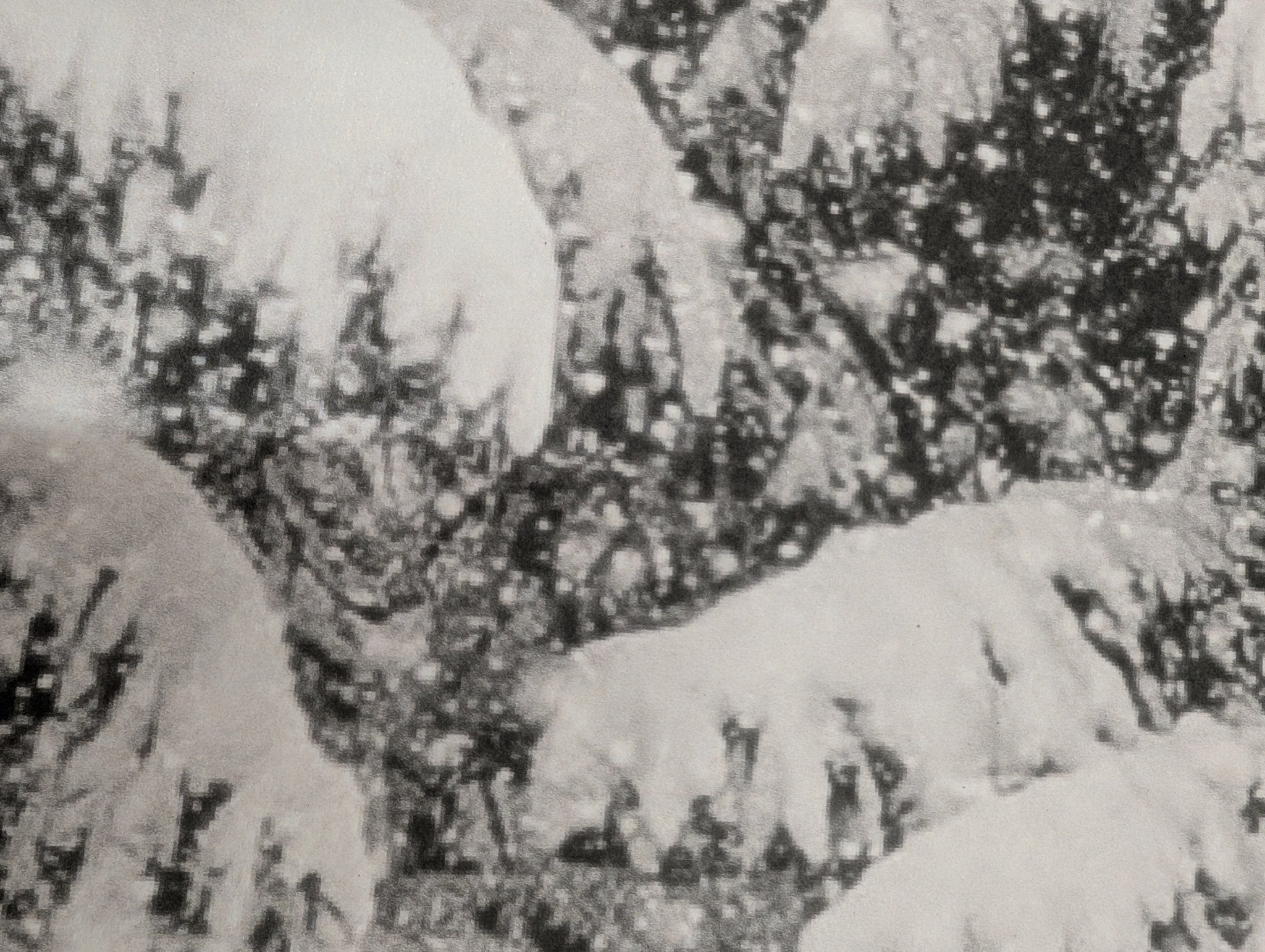 Papier Peint Panoramique Evasion Hivernale - H243cm x L425cm - Matière Softouch - Muralconcept