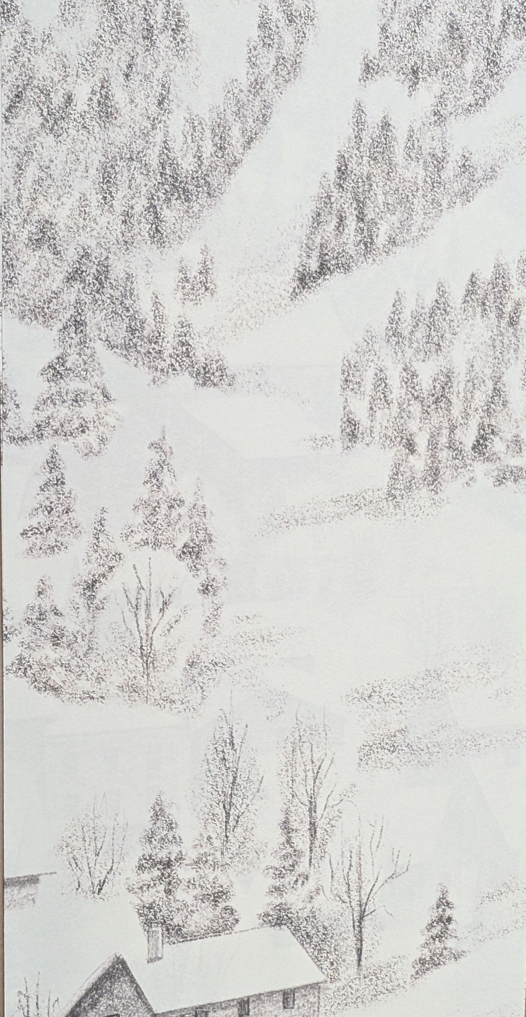 Papier peint Panoramique Meribel H305cmx L415cm - Matière Softouch
