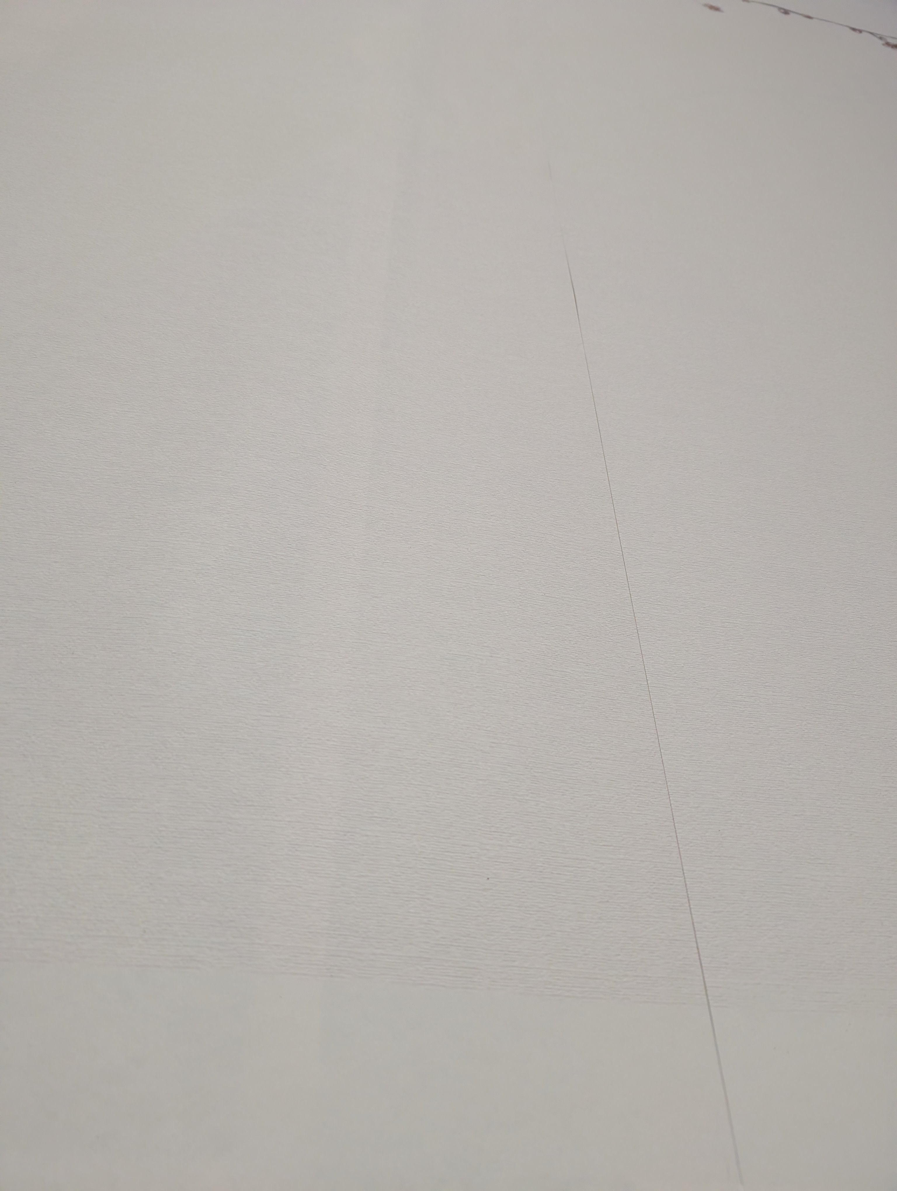 Papier peint Panoramique Sakura Beige H250cmx L267cm- Matière Softouch