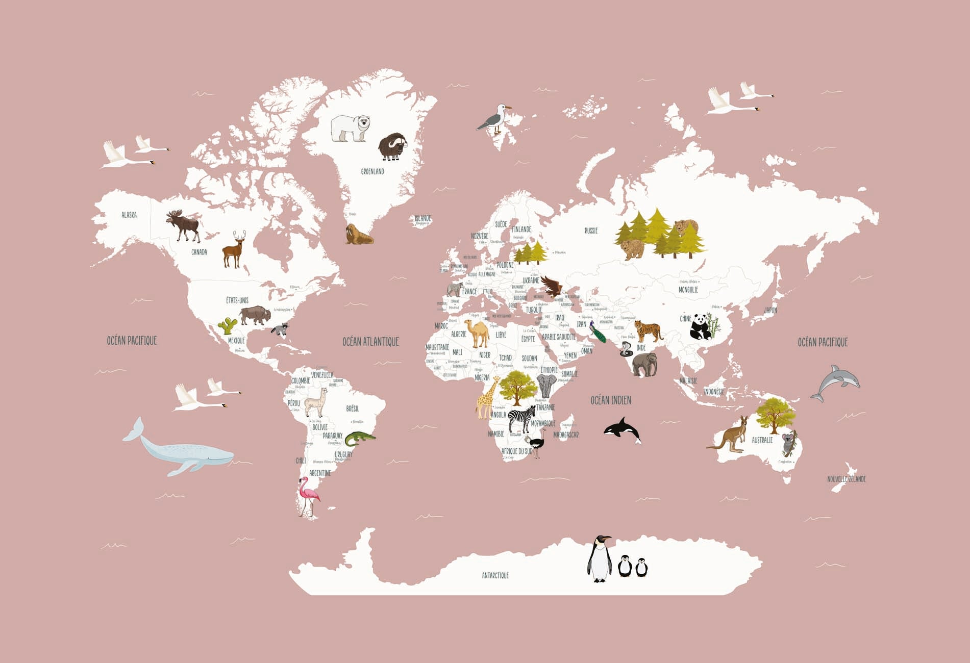 Papier peint Carte du monde en Francais enfant vieux rose, XXL, tendance
