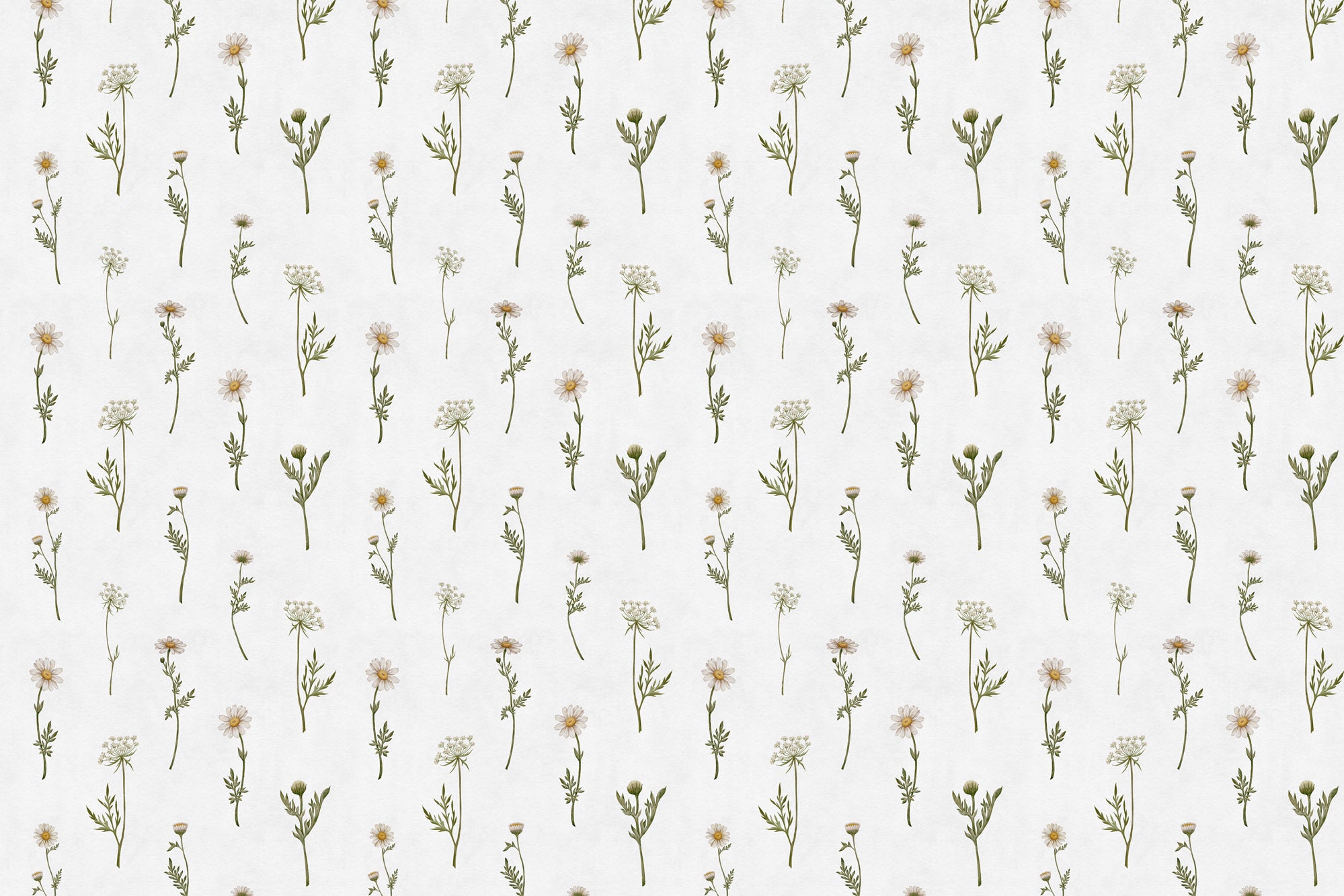 Papier peint à motif pour enfant. Fleurs des champs - Muralconcept