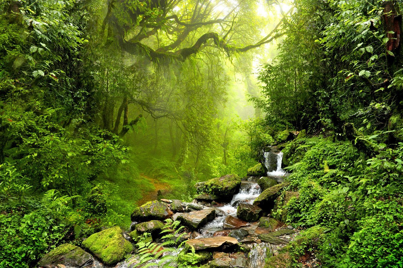 Papier peint salle de bain Cascade & Forêt, XXL, tendance