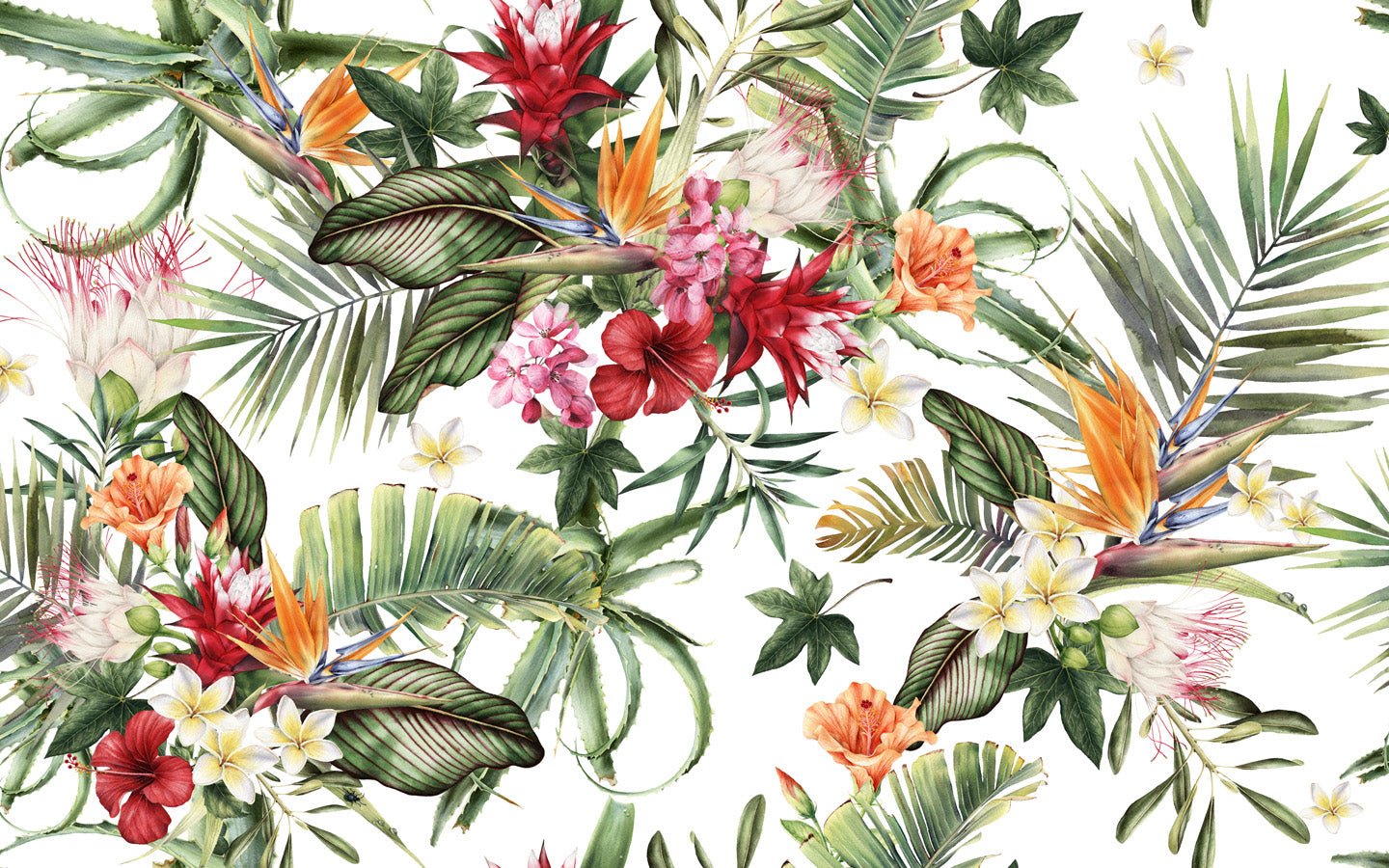 Papier peint tropical & Fleurs colorées, mural concept, tendance
