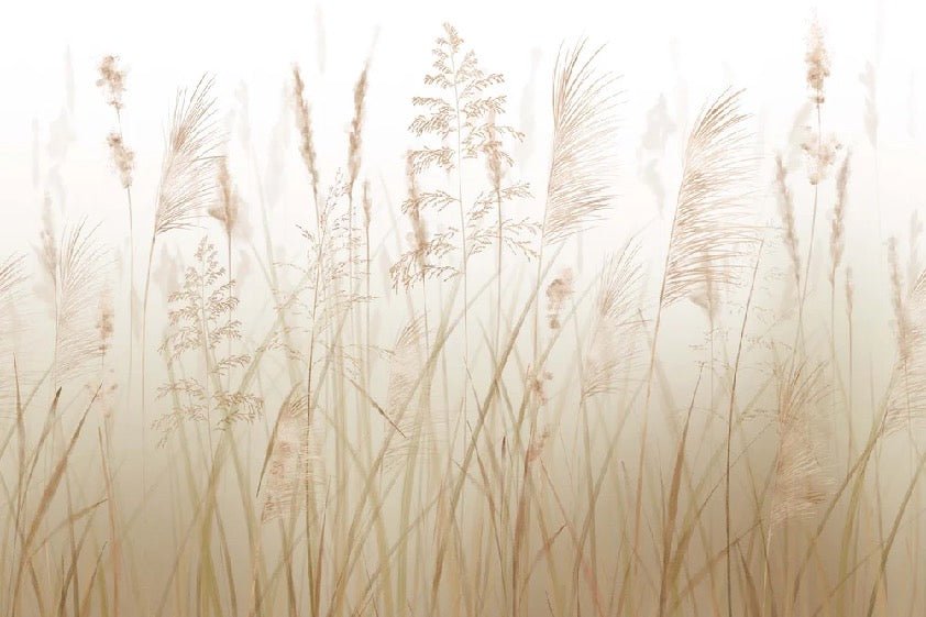 Papier peint fleur des champs de blé, XXL, tendance