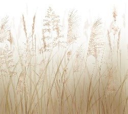 Papier peint salle de bain champs de blé beige, XXL, tendance