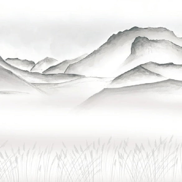 Papier peint artistique Annecy entre lac montagne GRIS