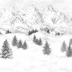 Papier peint montagne sommets de Chamonix, XXL, tendance