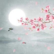 Papier peint tendance floral cerisier poétique, XXL, tendance