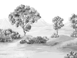 Papier peint paysage poétique noir et blanc, XXL, tendance