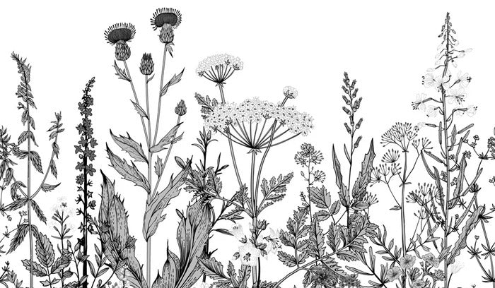Papier peint bureau botanique folk noir et blanc