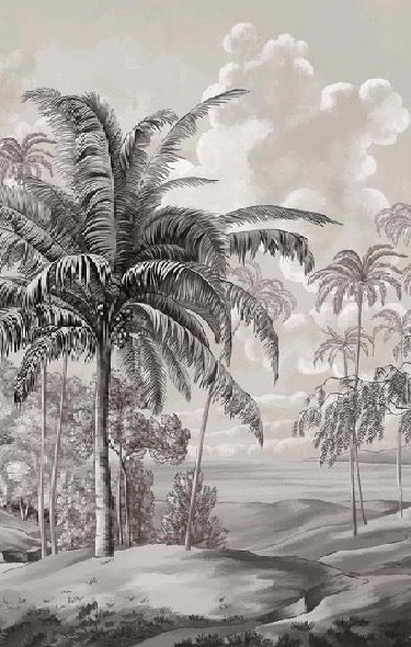 Papier peint paysage Célèbes noir et blanc, XXL, tendance