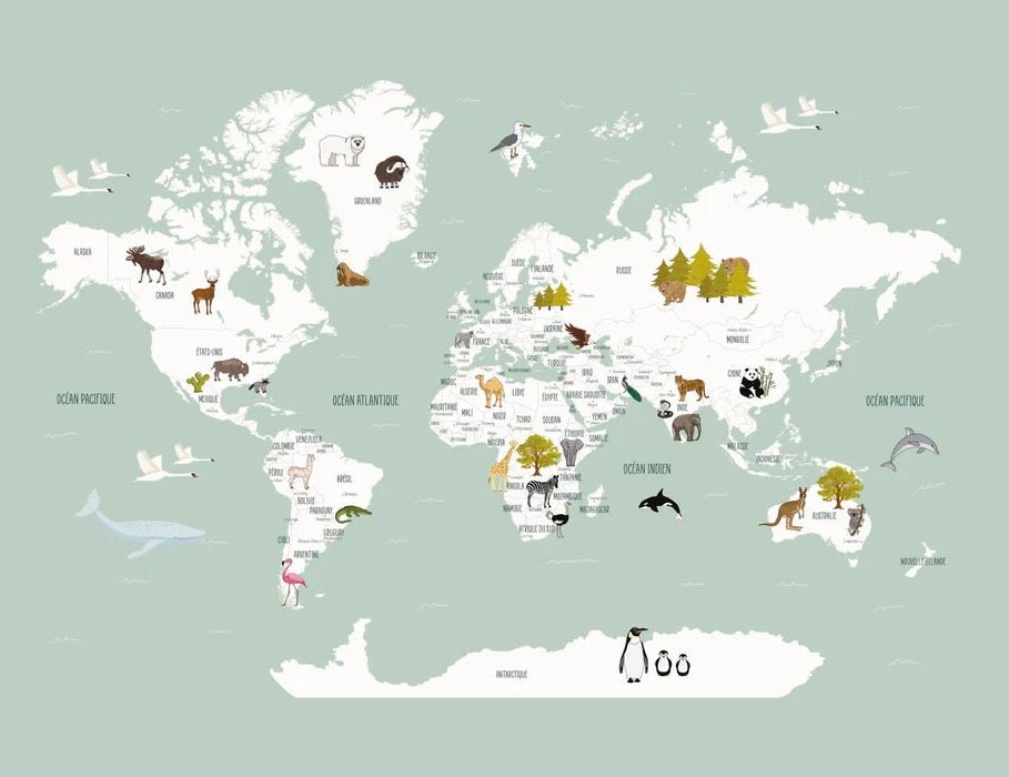 Papier peint Carte du monde en Francais enfant vert, XXL, tendance