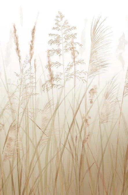 Papier peint fleur des champs de blé, XXL, tendance