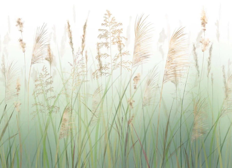 Papier peint fleur des champs de blé vert, XXL, tendance