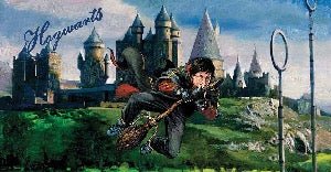 Papier peint panoramique Harry Potter match de quidditch peinture, XXL, tendance