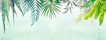 Papier peint Jungle, XXL, tendance