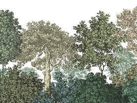 Papier peint paysage forêt gravure, XXL, tendance