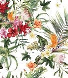 Papier peint tropical & Fleurs colorées, XXL, tendance