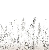 Papier peint poétique pampa, XXL, tendance